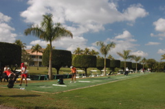 doral5