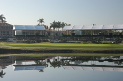 doral8