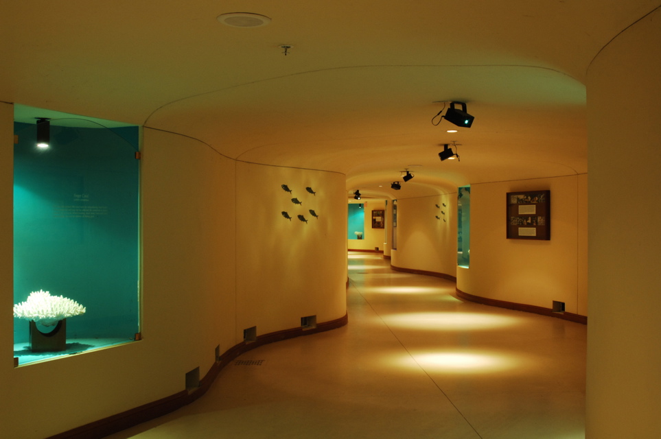 hyattnaples0245