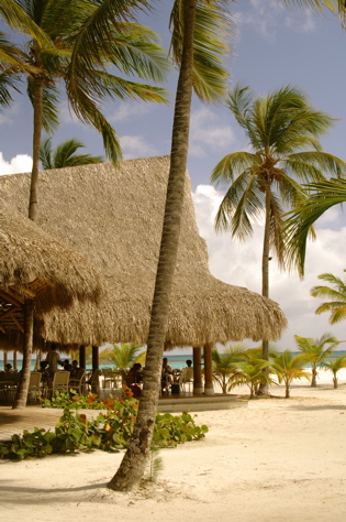 la PuntaCana Resort Aerial0825