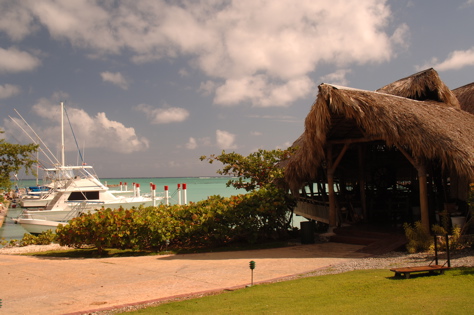 la PuntaCana Resort Aerial0840