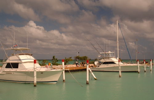 la PuntaCana Resort Aerial0848