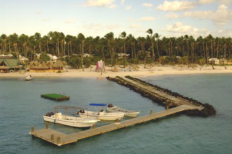 la PuntaCana Resort Aerial0748