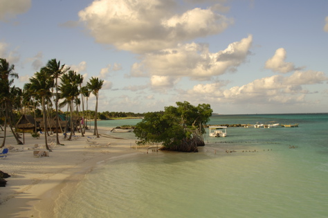 la PuntaCana Resort0629