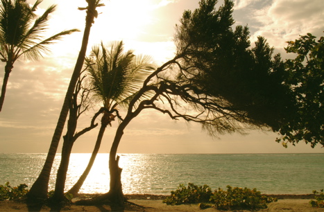 punta cana resort and club0297