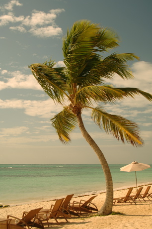 punta cana resort and club0313