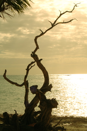 punta cana resort and club0298