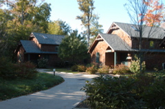 cabin3