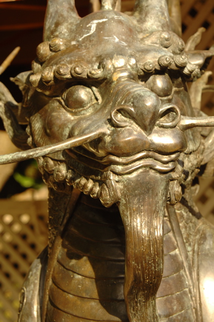 tryallclubjamaica0591